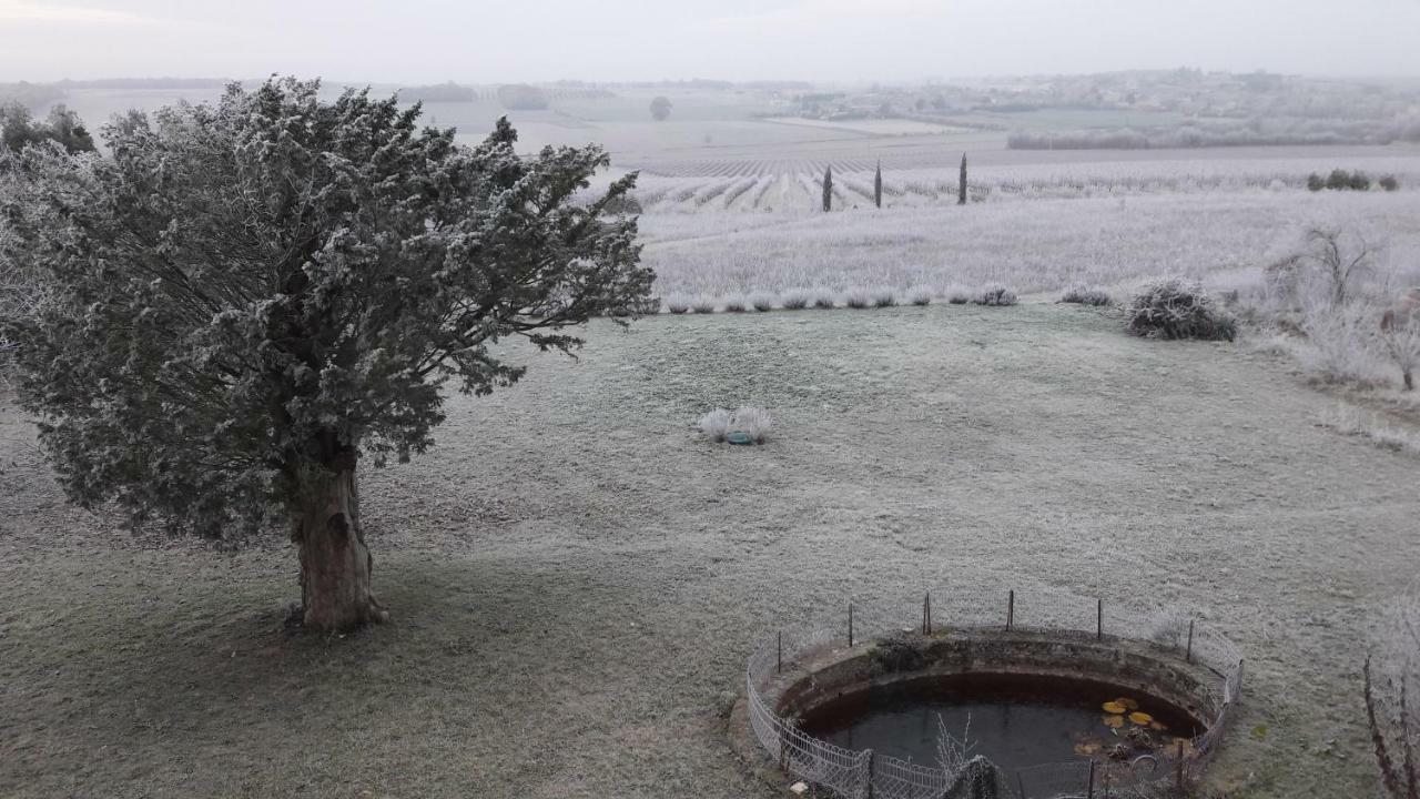 Bed and Breakfast Le Dojo Du Plessis Mareuil  Exterior foto
